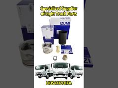 ISUZU/Mitsubishi/HINO/JAC/NISSAN/TOYOTA용 OEM 교체 부품