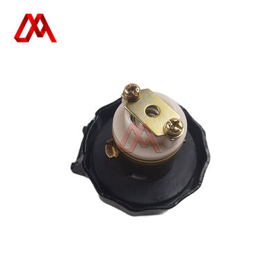 8-97994821-1 8-94160028-0 8979948211 8941600280 Fuel Tank Cap With Key for ISUZU NKR 100P