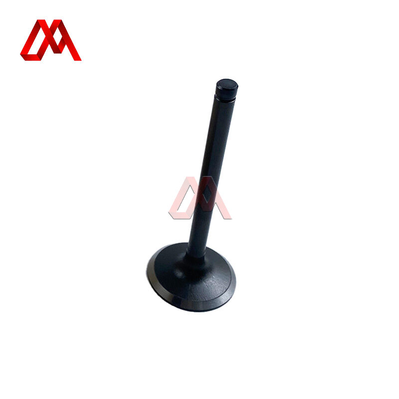 13711-58020 13711-58021 Engine Valve for Toyota 14B